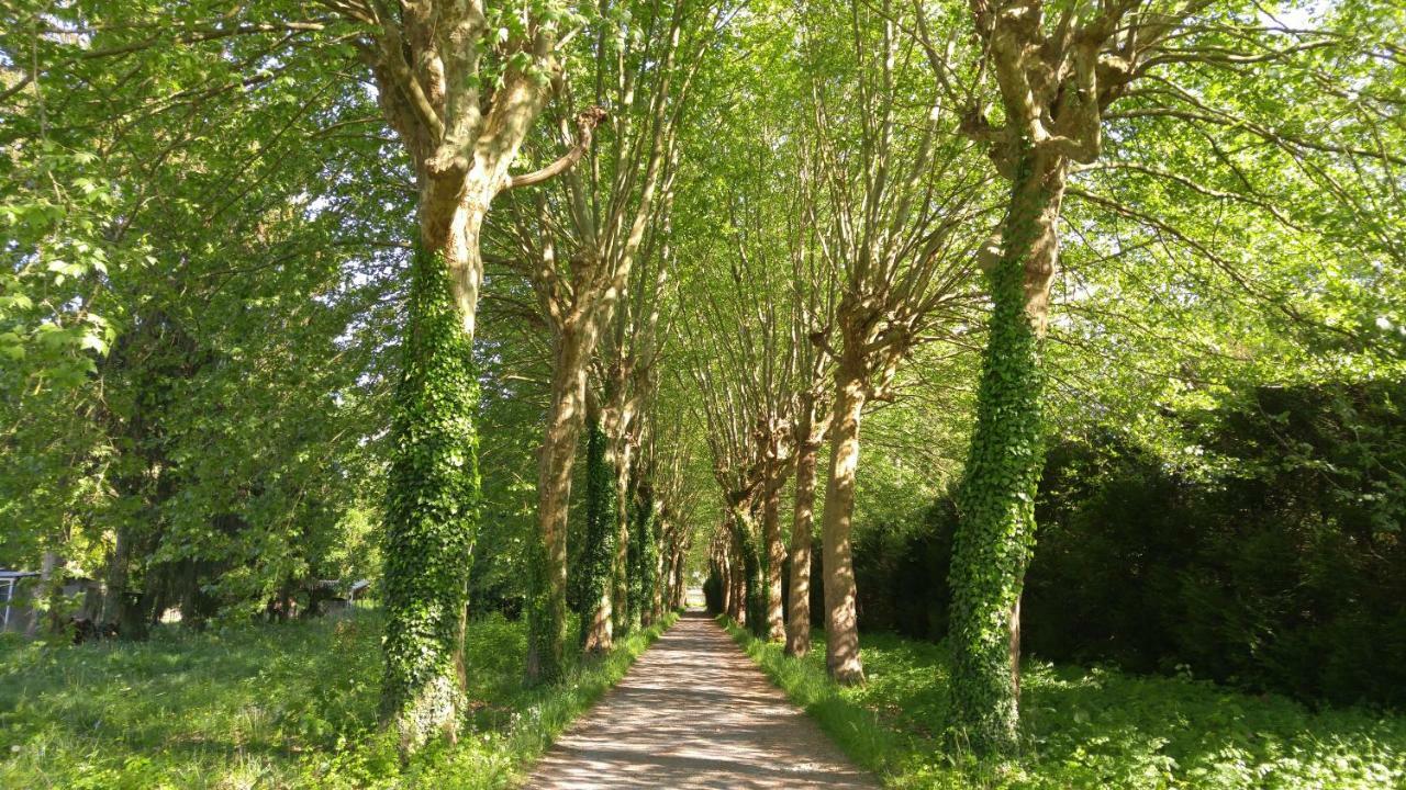 Bed and Breakfast Domaine De Bramefaon Barbizon Exterior foto